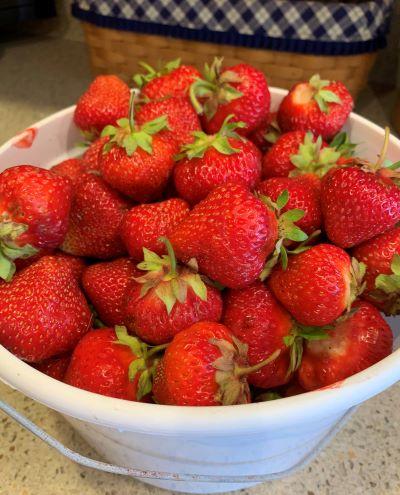 strawberries in a bowl